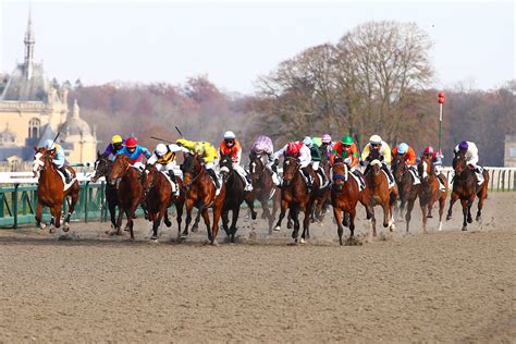gouveturf turf|Gouveturf : Naviguer sur l’Échiquier des Courses Hippiques.